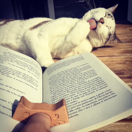 Apri-libro